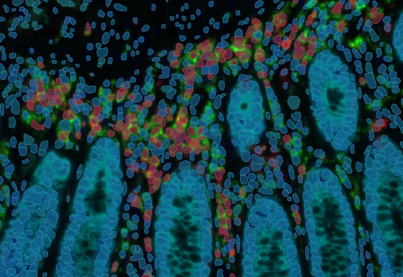 Dynamic Content Image